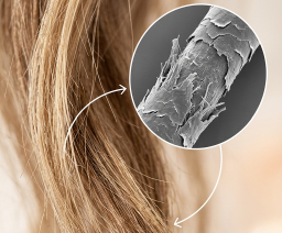 Cabello dañado - antes del tratamiento Petti Organic